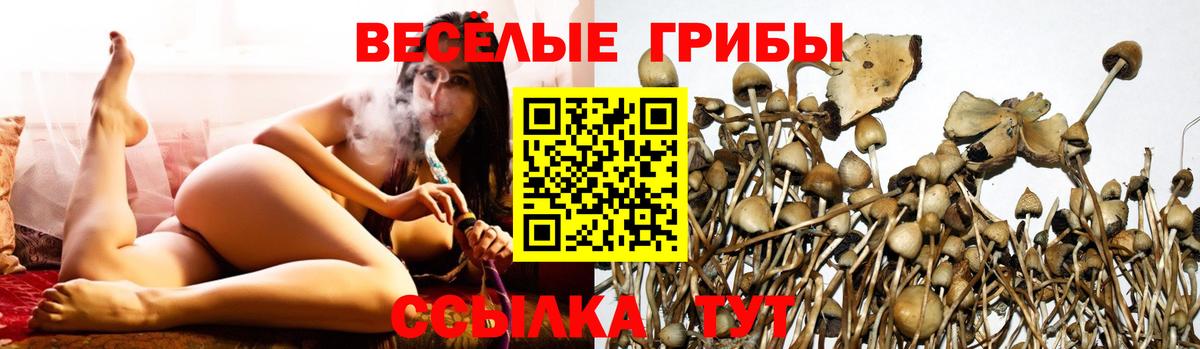 Еманжелинск  Псилоцибиновые грибы MAGIC MUSHROOMS  Вход с VPN  Псилоцибиновые грибы Magic Shrooms 
